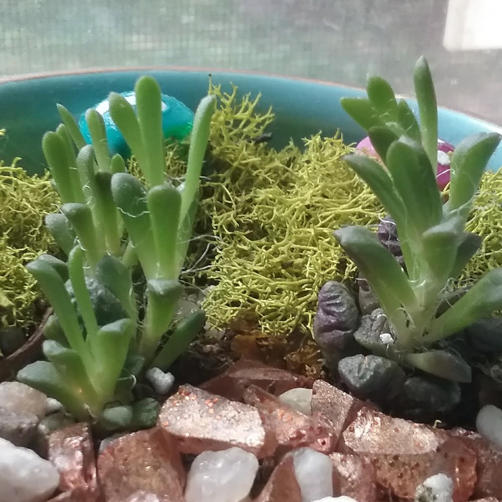 Meet your Posher, Anticonformity